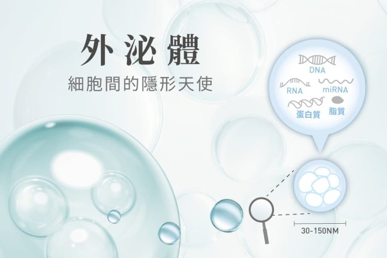外泌體為細胞間的隱形天使，大小約30-150奈米，內含DNA、RNA、miRNA、蛋白質與脂質等活性成分，具有修復與傳遞功能。