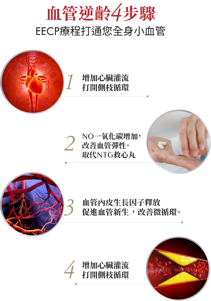 EECP療程啟動血管逆齡4步驟，提升灌流量、增加一氧化氮、促進血管新生並改善微循環，全面打通全身小血管。