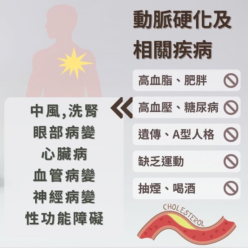 動脈硬化的相關疾病。